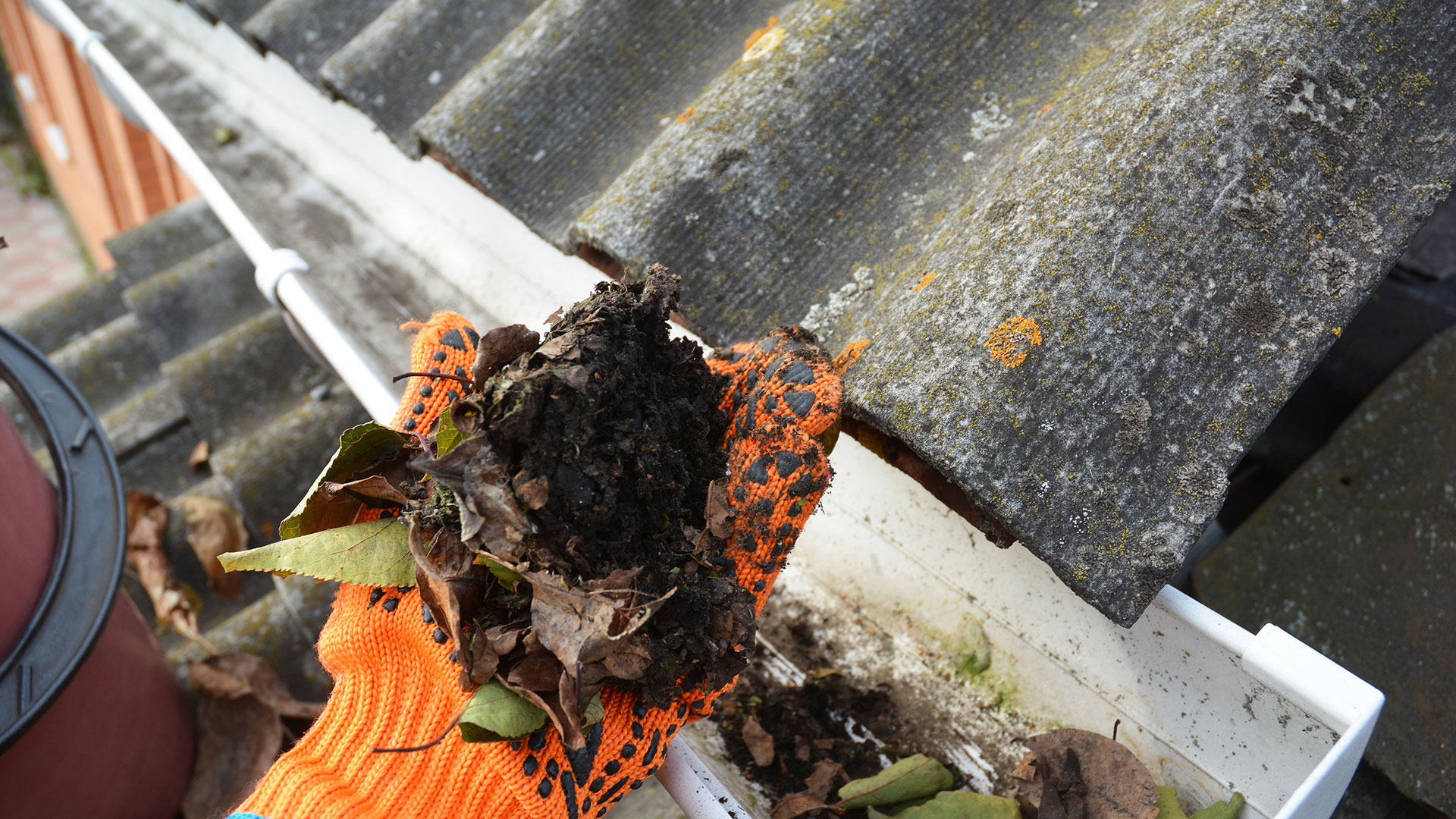 What Happens If I Don’t Clean My Gutters?