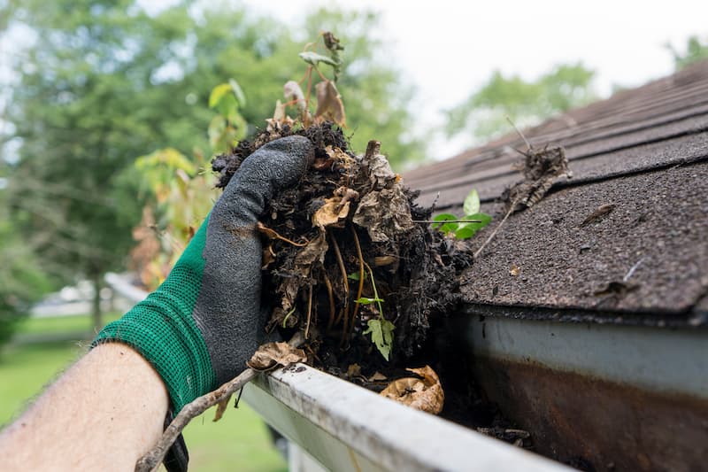 The Hidden Dangers of Clogged Gutters: How Professional Cleaning Can Save Your Home